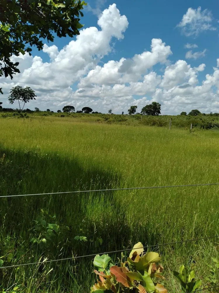Fazenda - Foto 14