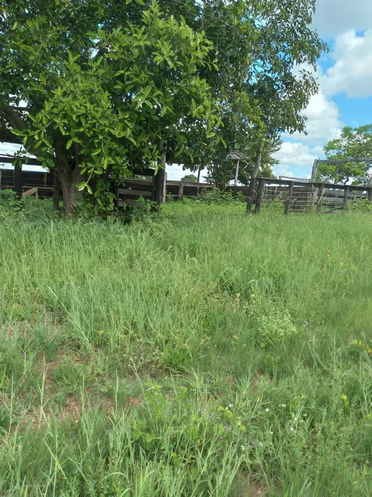 Fazenda - Foto 9