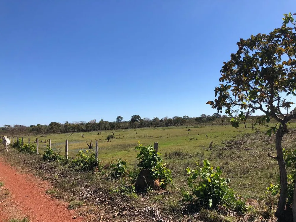 Fazenda - Foto 12