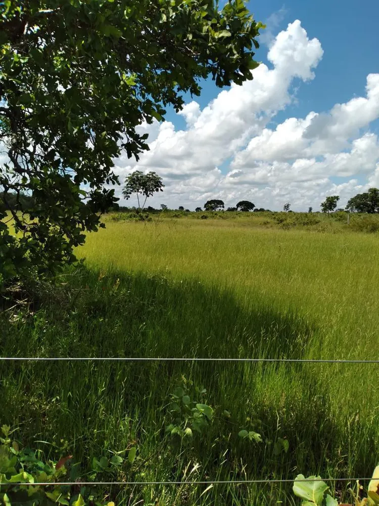 Fazenda - Foto 11