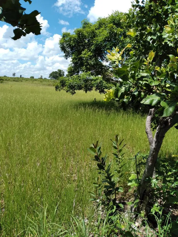 Fazenda - Foto 8