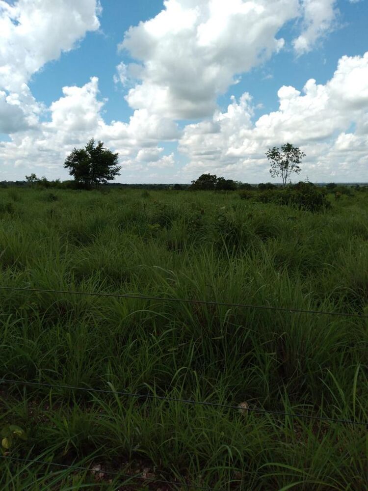 Fazenda à venda, 2898m² - Foto 3