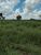 Fazenda - Foto 2