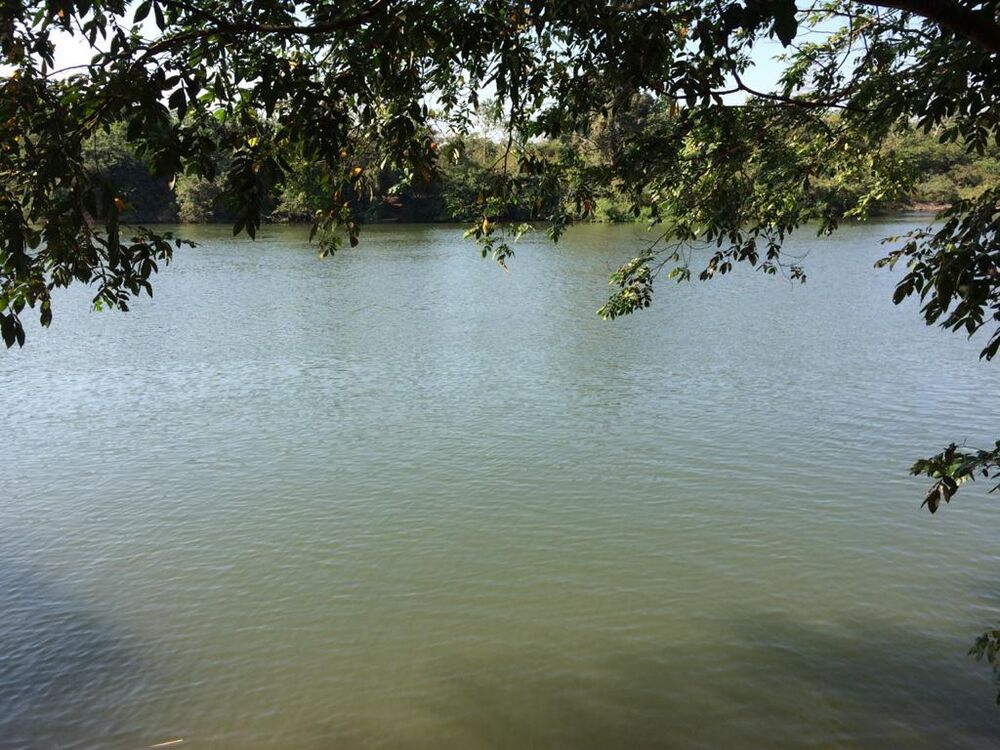 Sítio, 4 quartos, 15 m² - Foto 1