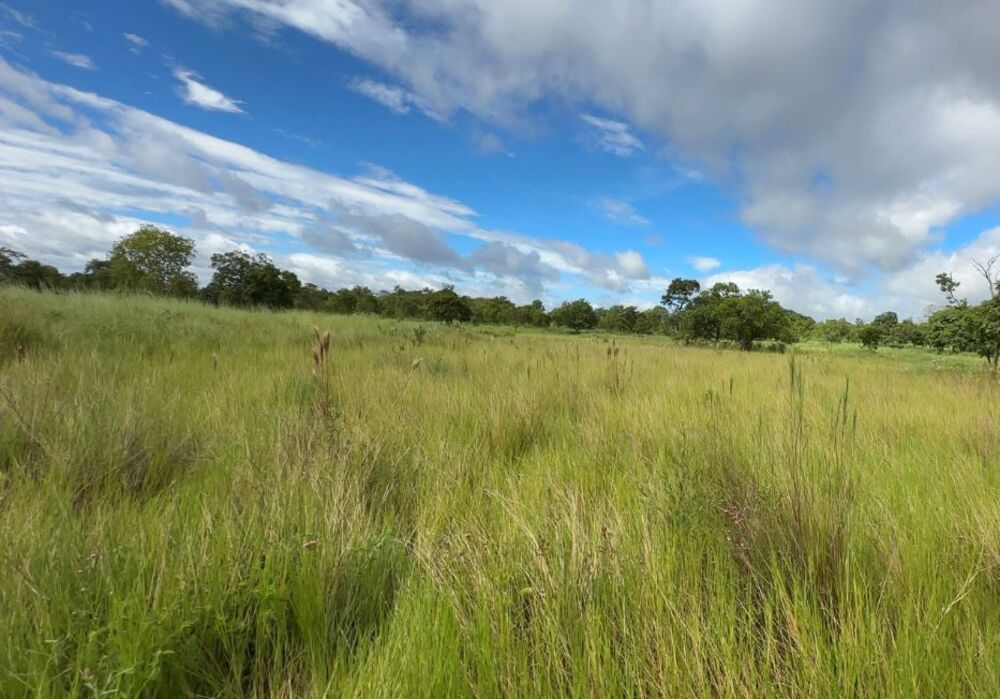 Sítio, 4 quartos, 15 m² - Foto 2