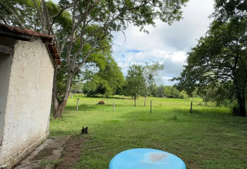 Sítio, 4 quartos, 15 m² - Foto 3