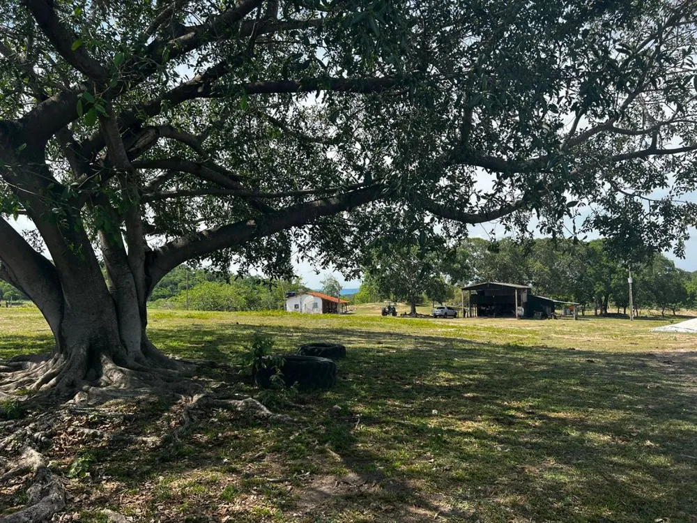 Fazenda - Foto 5