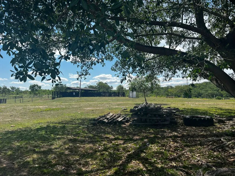 Fazenda - Foto 2