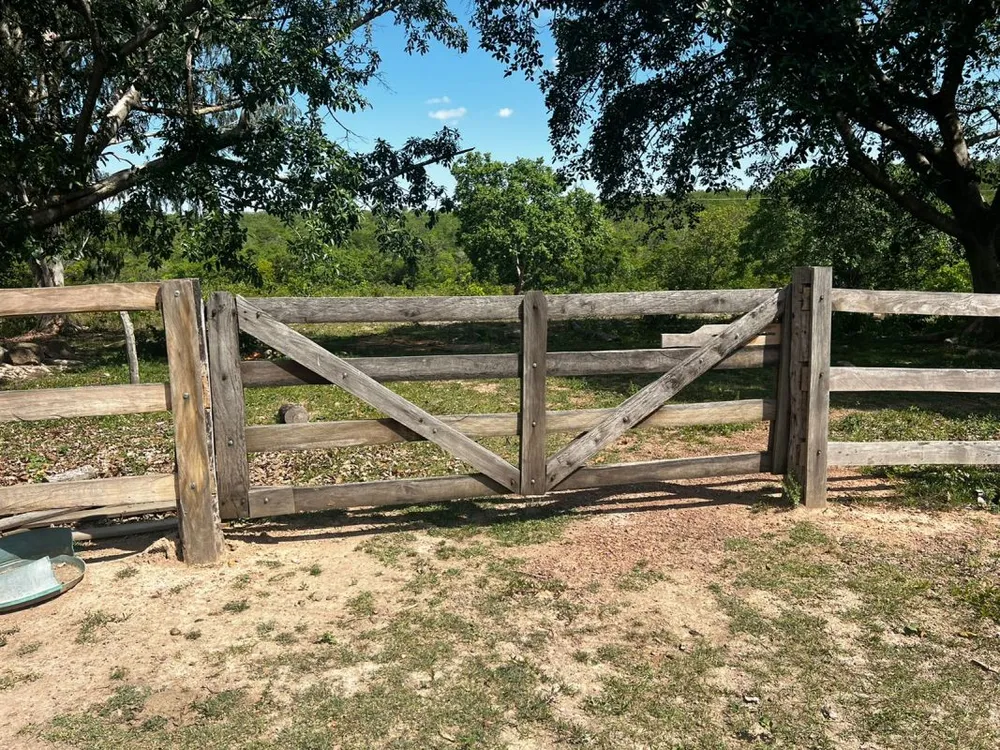 Fazenda - Foto 1