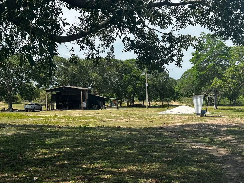 Fazenda - Foto 4