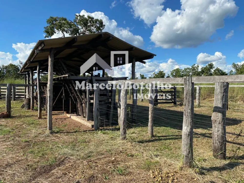 Fazenda - Foto 12