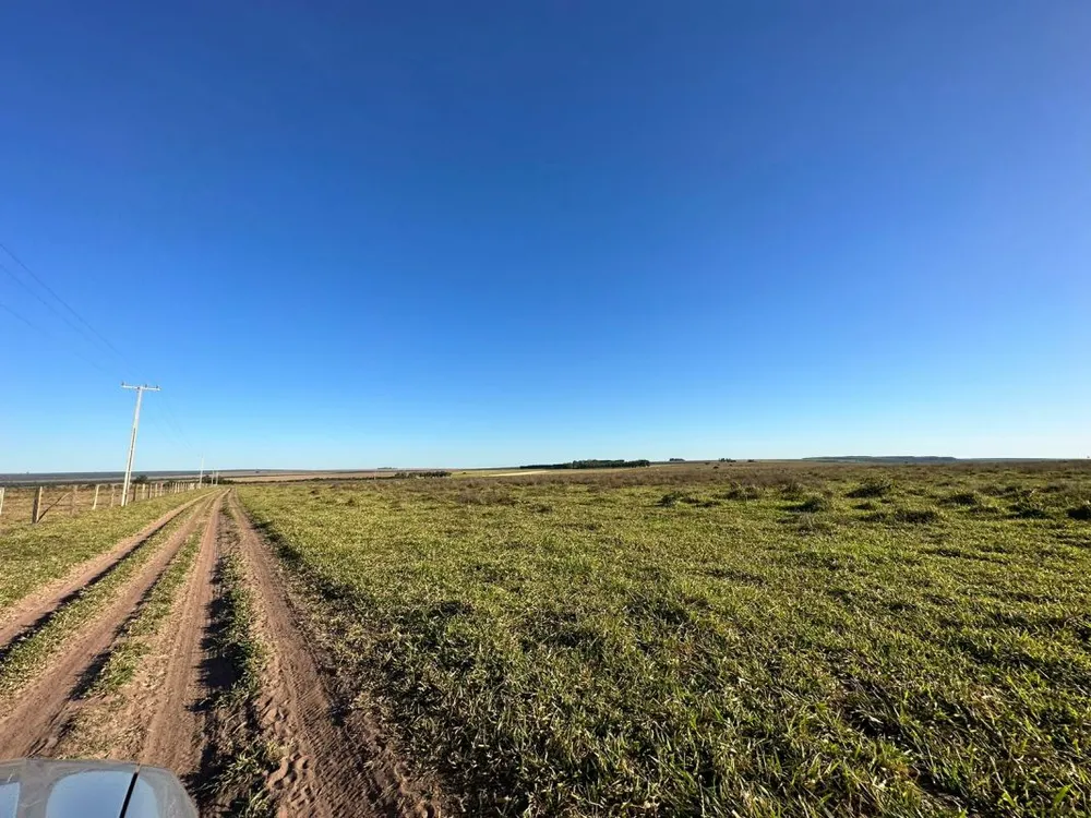 Fazenda - Foto 4