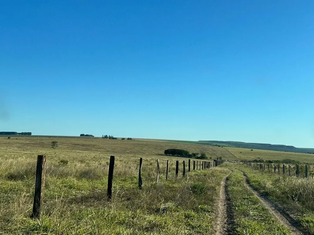 Fazenda - Foto 6