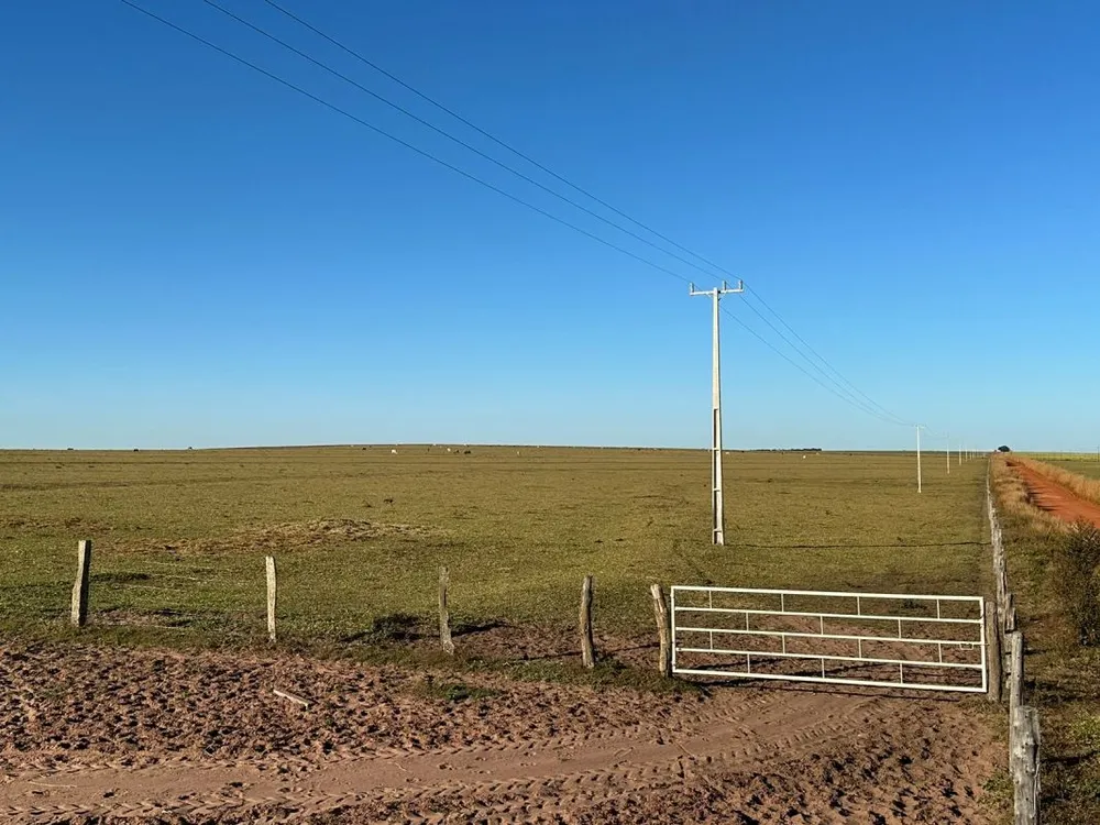 Fazenda - Foto 3