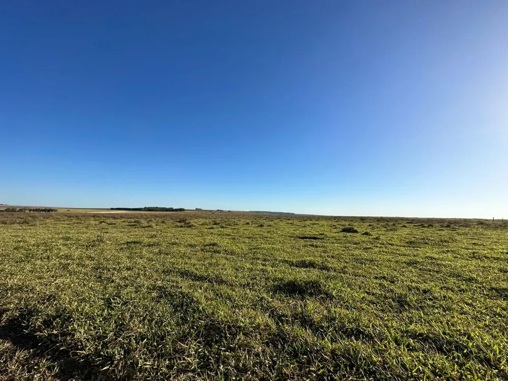 Fazenda - Foto 5