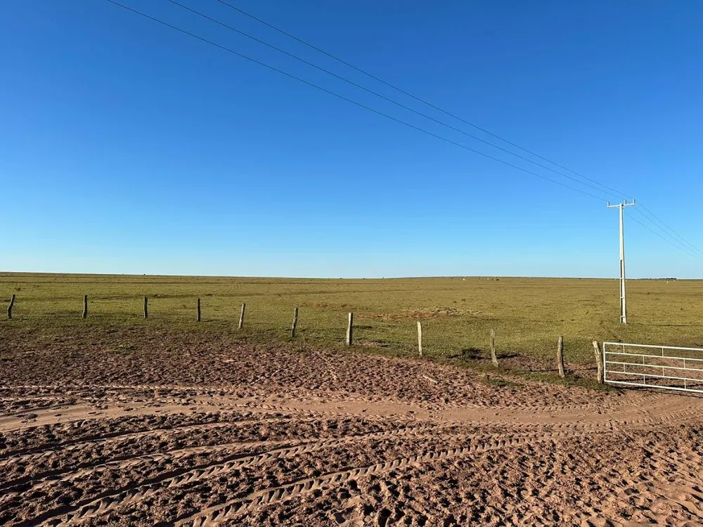 Fazenda - Foto 2