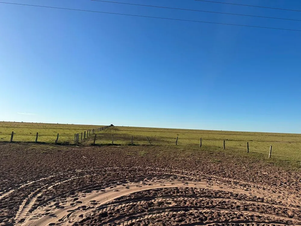 Fazenda - Foto 7