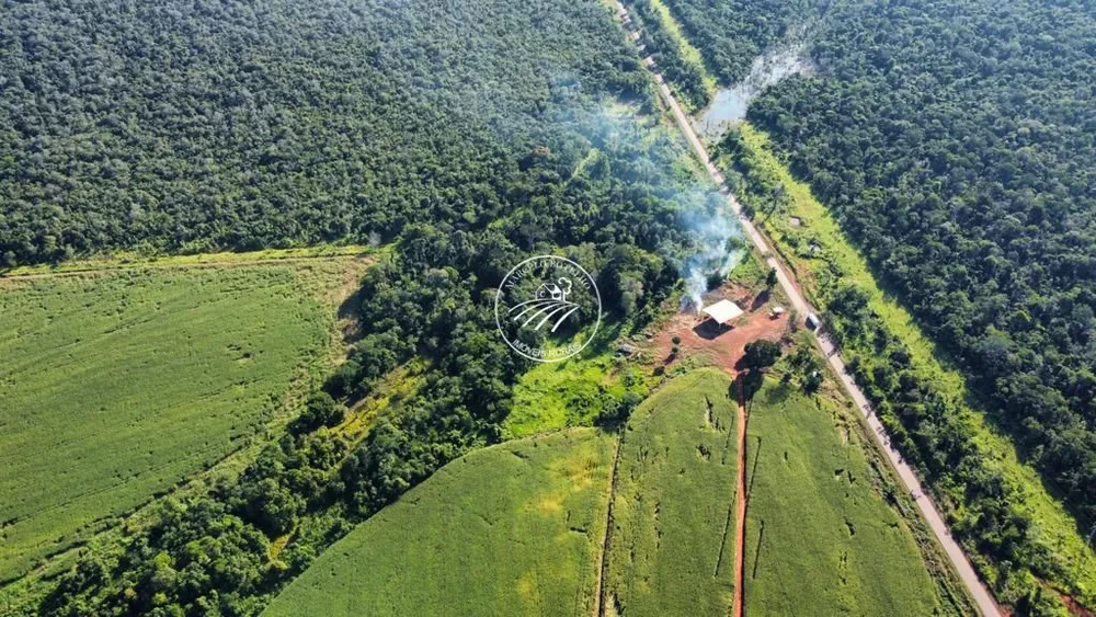 Fazenda - Foto 4