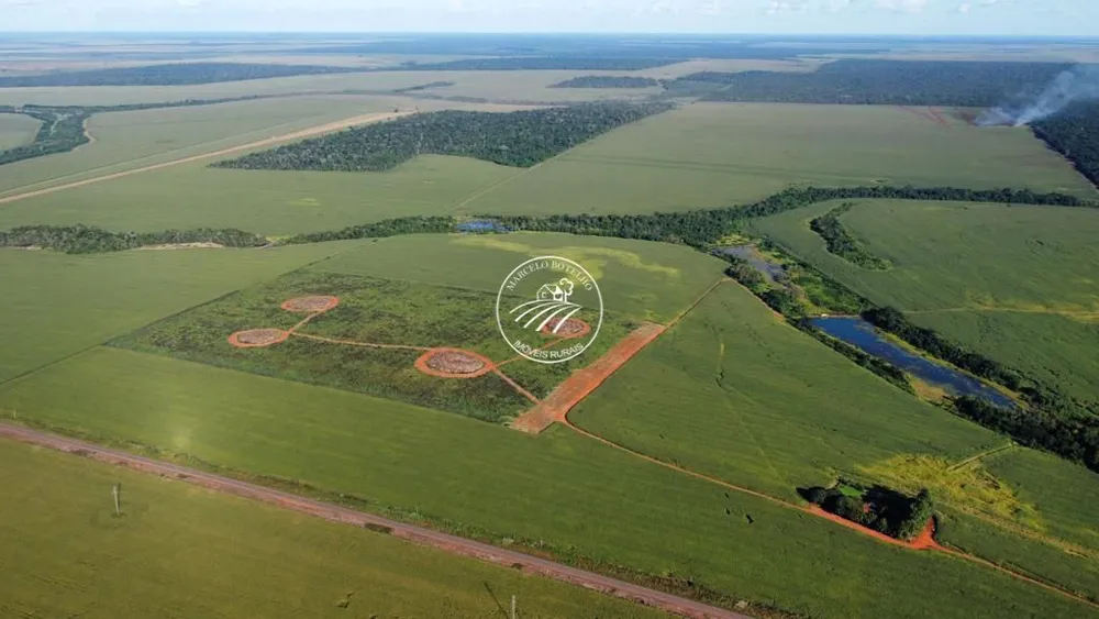 Fazenda - Foto 6