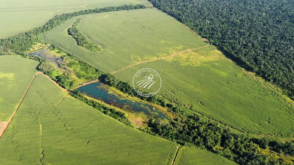 Fazenda - Foto 5