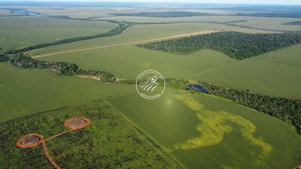 Fazenda - Foto 7