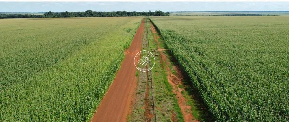 Fazenda - Foto 7