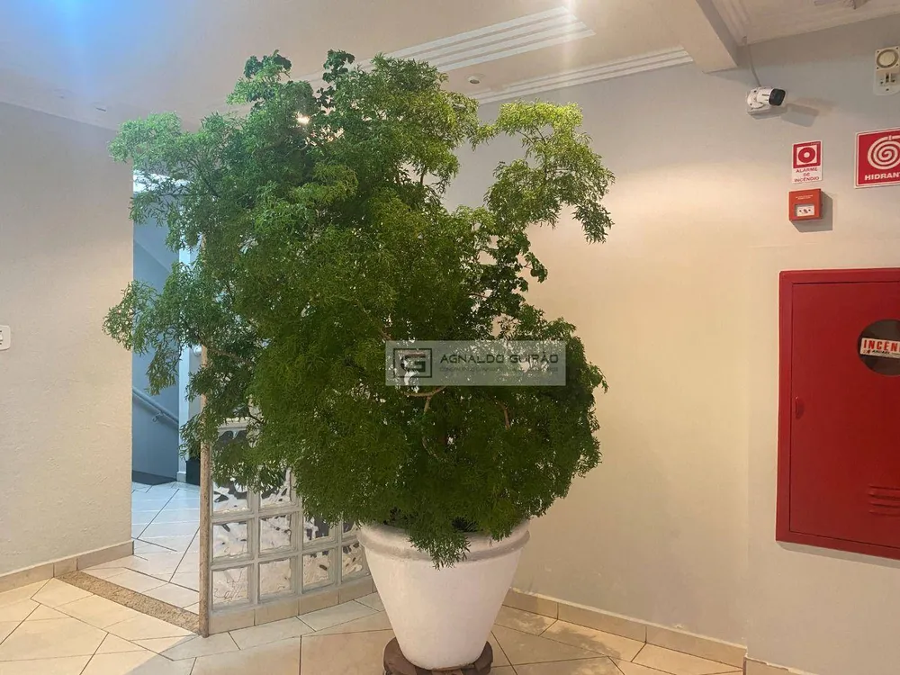 Apartamento, 3 quartos, 81 m² - Foto 7