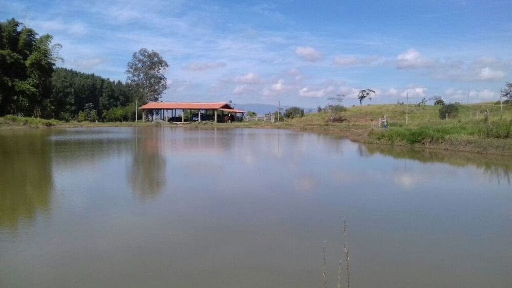 Sítio à venda com 3 quartos, 200m² - Foto 8