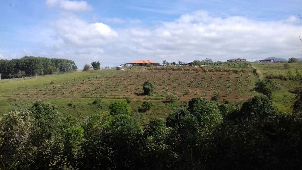 Sítio à venda com 3 quartos, 200m² - Foto 2