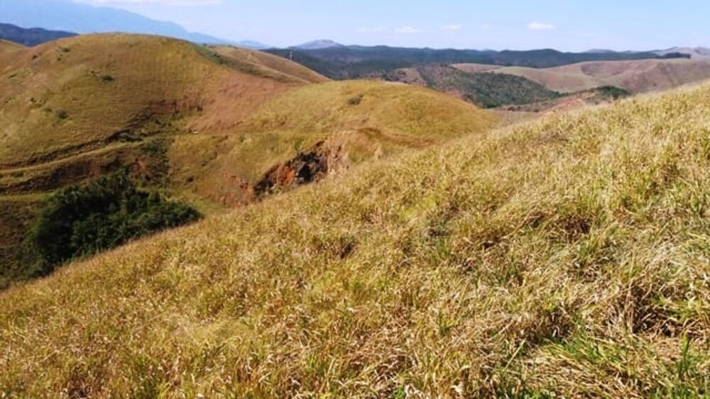Terreno à venda - Foto 3
