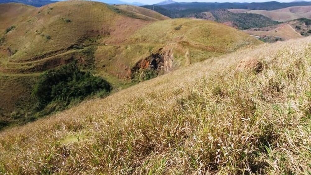 Terreno à venda - Foto 5