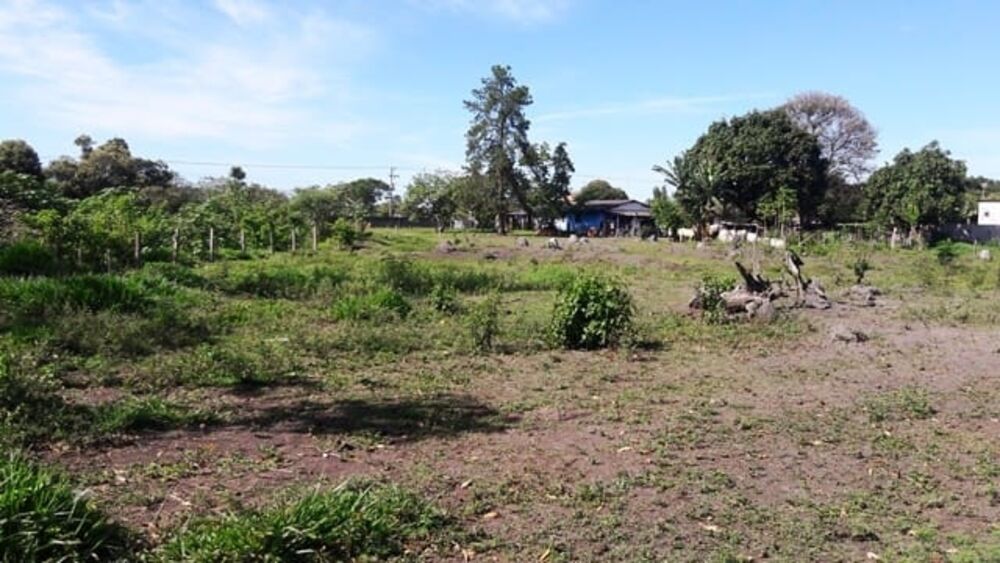 Chácara, 3 quartos, 8933 m² - Foto 4