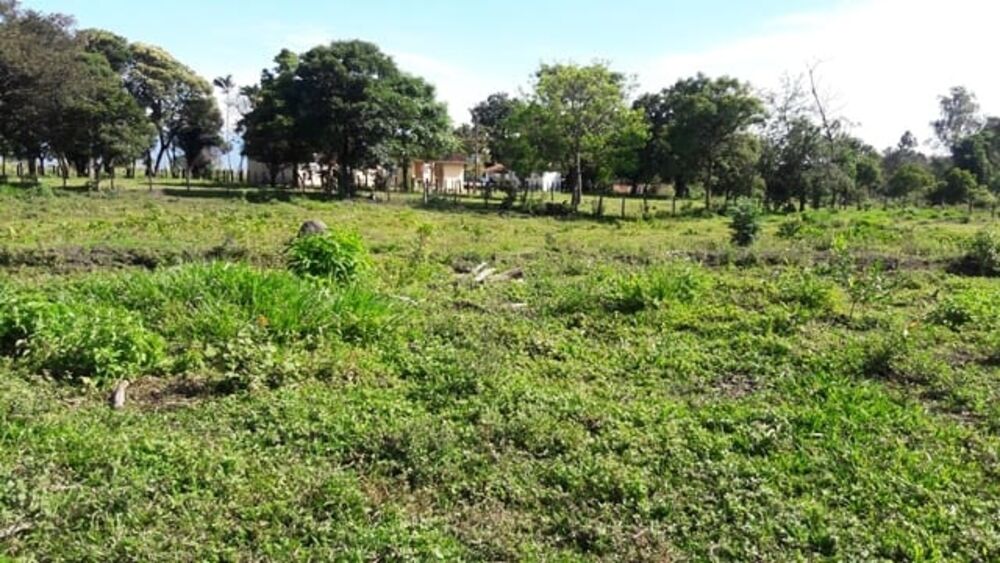 Chácara, 3 quartos, 8933 m² - Foto 3