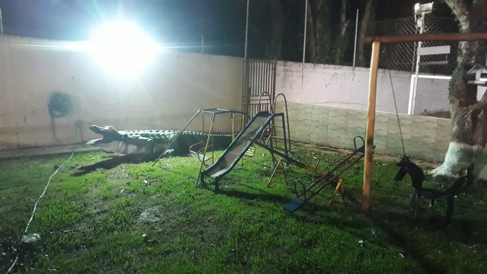 Chácara à venda com 1 quarto, 1350m² - Foto 2