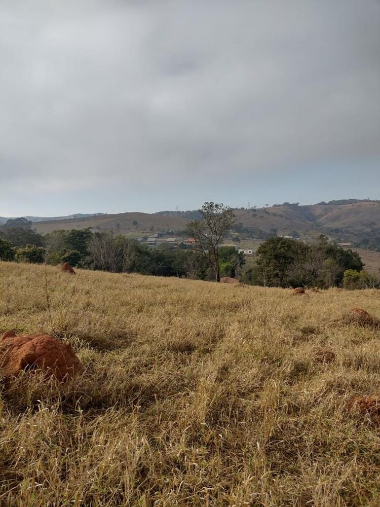 Terreno, 2 hectares - Foto 4
