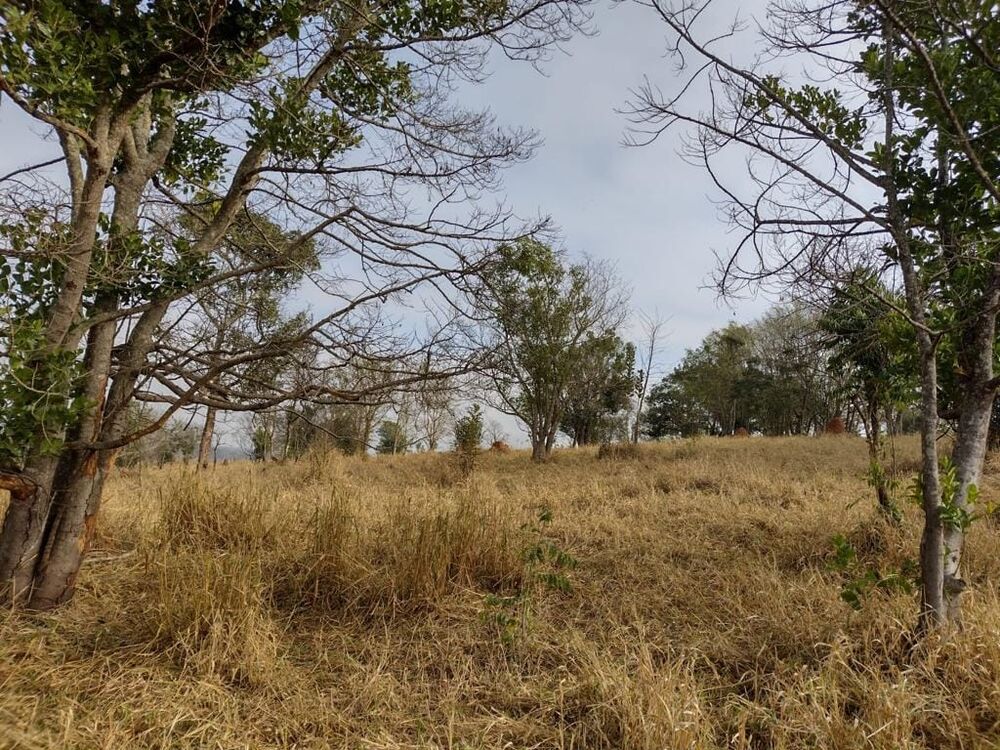 Terreno, 2 hectares - Foto 11