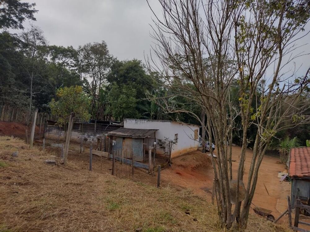 Terreno, 2 hectares - Foto 5