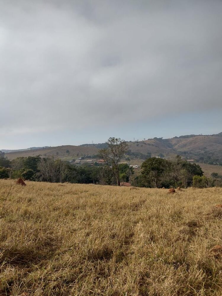 Terreno, 2 hectares - Foto 10