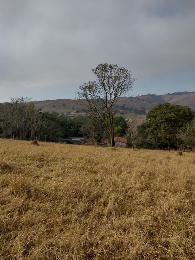 Terreno, 2 hectares - Foto 8