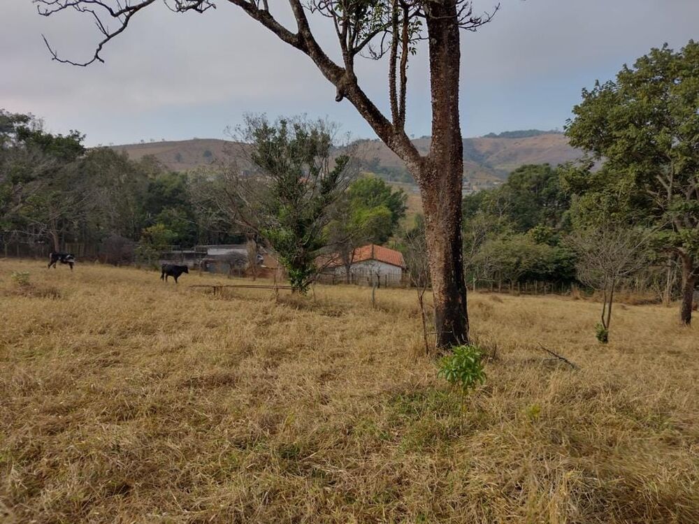 Terreno, 2 hectares - Foto 7