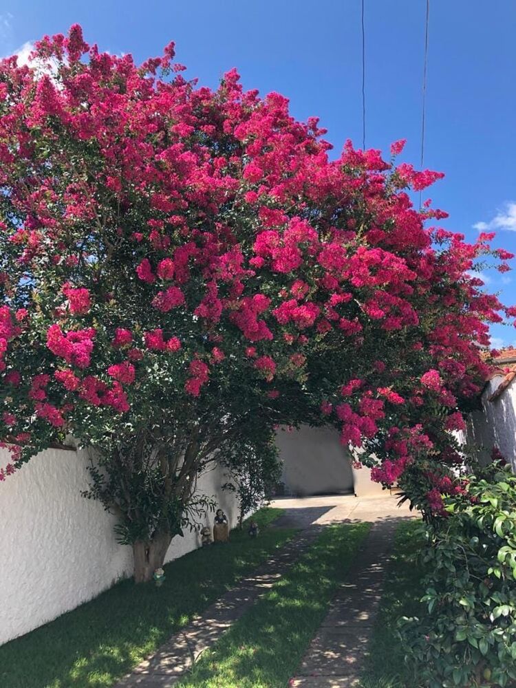 Casa, 3 quartos, 130 m² - Foto 4