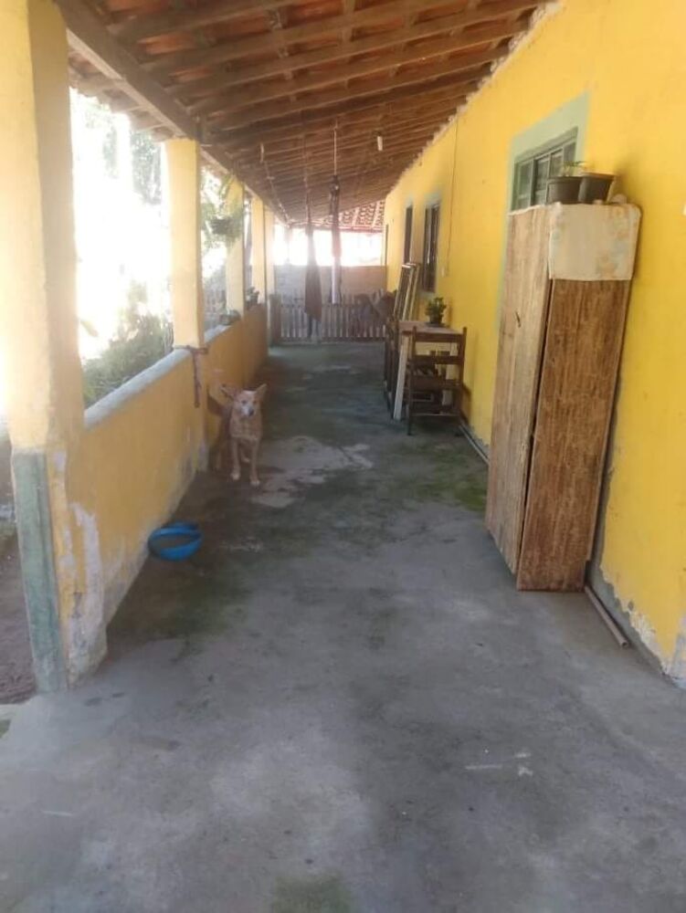 Terreno, 2000 m² - Foto 3