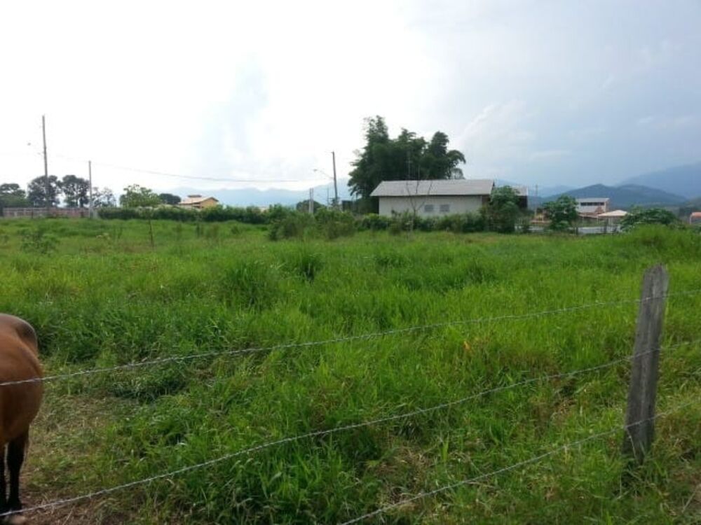 Terreno, 2100 m² - Foto 4