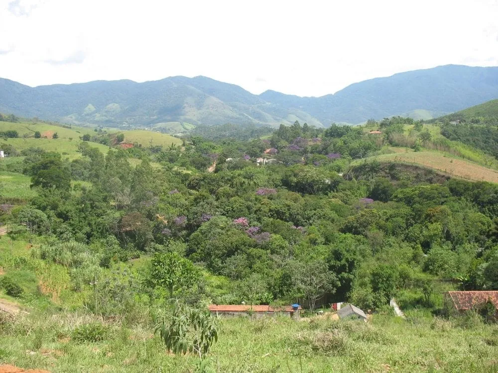 Terreno - Foto 4