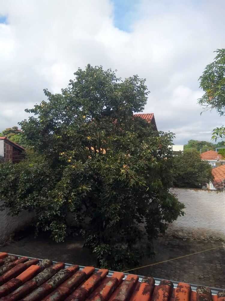 Casa à venda e aluguel com 3 quartos, 163m² - Foto 3