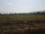 Terreno, 2 hectares - Foto 2