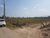 Terreno, 2 hectares - Foto 9