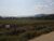Terreno, 2 hectares - Foto 11