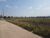 Terreno, 2 hectares - Foto 4