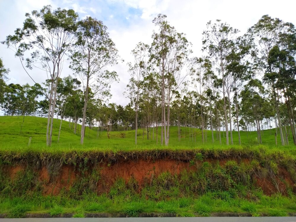 Terreno, 3 hectares - Foto 1